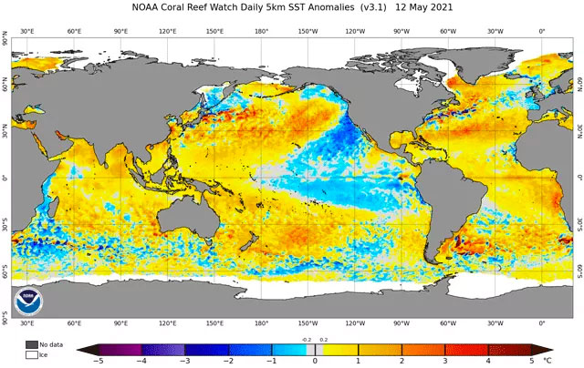 外貿(mào)訂單提振 鵝絨行情向上浮動 外貿(mào)訂單提振 鵝絨行情向上浮動